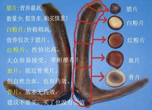 鹿茸片怎么看真假？鹿茸片真假的辨别方法