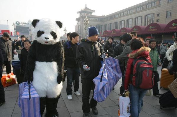 旅客穿熊猫玩偶服扮成大熊猫体验春运遭围观