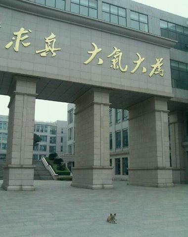 “学霸狗”电子科技大学蹭课走红 最爱英语和概率