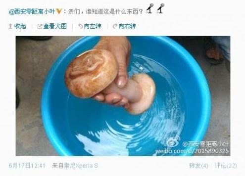 最纯情西安女记者把自慰器称为“肉灵芝”