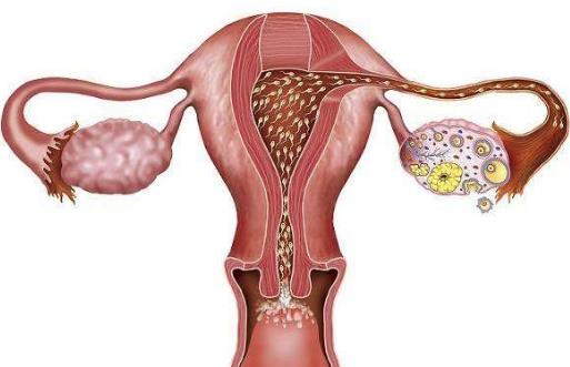 保养卵巢女人这水果得多吃好 保养卵巢避免情绪消极