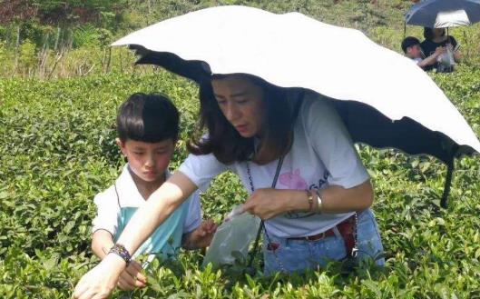 跟孩子一起亲子游 家长们一定要做好的功课