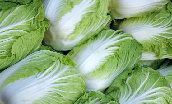 肠胃不好可以吃些什么调理 胃功能下降需要远离的食物