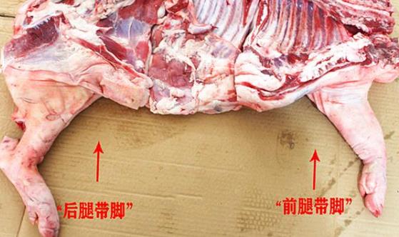 教你区分猪肉前腿肉和后腿肉 不同位置口感不一样别买错了