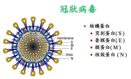 24问新型冠状病毒肺炎乙类传染病 事实到勘谬最全知识点