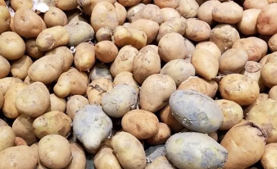 产妇坐月子能吃土豆吗 适合月子期间的土豆食谱