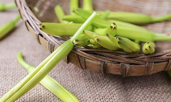 黄花菜的营养价值高 黄花菜的美味吃法