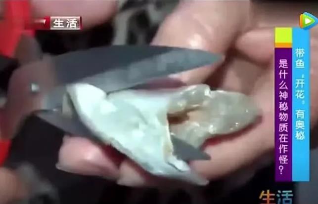 甲醛浸泡过的带鱼，一碰热油就扭曲、炸裂开花，千万别买别吃！