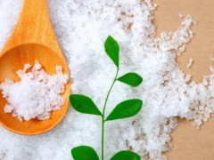 食盐的功效与作用 明明白白限盐实现限盐目标的要点