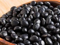 黑豆是很好的肌肤美容之品 黑豆最营养搭配