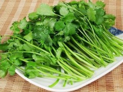 香菜怎么保存时间更长？香菜保鲜的方法