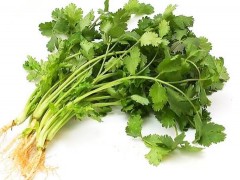 冬天香菜怎么保存？香菜的保存方法