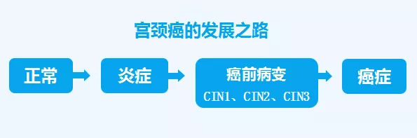 【对话医声】五洲妇儿医院张玮专访 大数据时代如何规范防治宫颈癌!