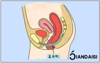 什么牌子缩阴紧致药物最好？别忽视安全性！