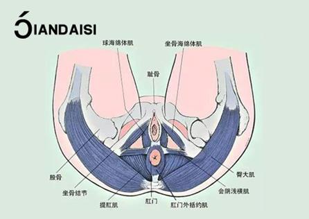 缩阴产品有没有副作用？有没有依赖性？