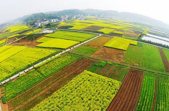 什么是土地登记？土地登记申请材料包括哪些（出现争议如何处理）