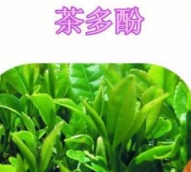 男性都会喝茶 喝茶会给男性的身体带来的6种好处