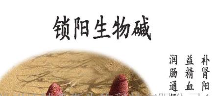 男性都会喝茶 喝茶会给男性的身体带来的6种好处