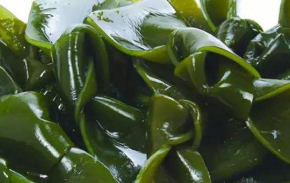 好的胸部是需要保养的 推荐3种对胸部有好处的食物