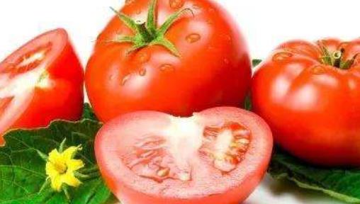 这6种食物进补效果非常不错