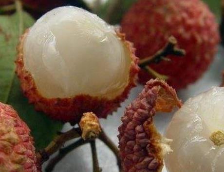 男人是一个家庭的顶梁柱 有助于男人提高性能力的5种食物