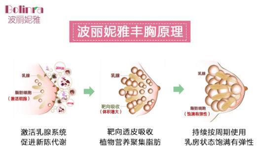 波丽妮雅有效果吗？为你揭秘科学的丰胸产品！
