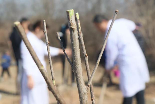 爱家园·享健康—郑州博大男科医院医院植树节活动