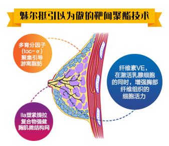 17年专注丰胸 始终如一 魅尔挺您身边的丰胸专家