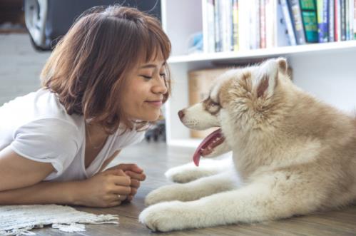 爱宠一族必看，家里放点什么有效驱虫？