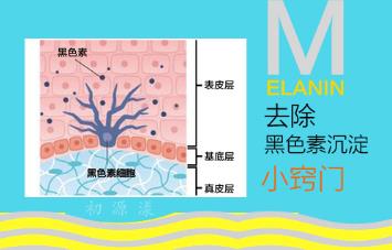 如何去除私处乳晕黑色素？樱花嫩红素效果怎么样