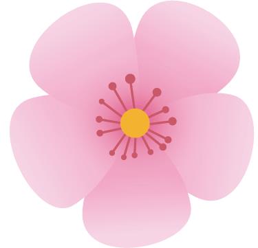 昆明宝岛医院是公立的吗 用心服务平价放心
