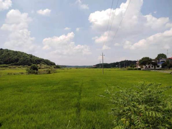 湖南长沙郊区一日游洛书草堂探访无量子游记