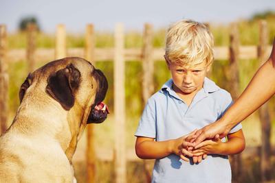 打狂犬疫苗可以吃海鲜吗？打狂犬疫苗要注意什么