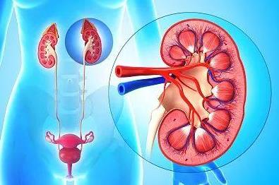 泌尿系统感染的原因是什么？泌尿系统感染的症状