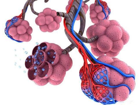 肺气肿是怎么得的？肺气肿能治好吗