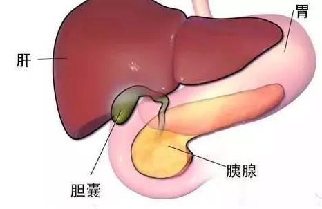 胆囊息肉能治愈吗？胆囊息肉不能吃什么