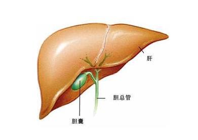 胆囊息肉能治愈吗？胆囊息肉不能吃什么