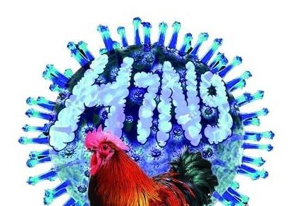 H7N9禽流感症状表现是什么？h7n9流感是什么