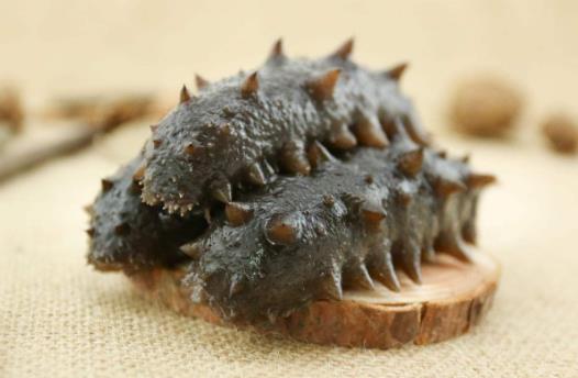 海参怎么吃最有营养？海参食用方法与禁忌(一)