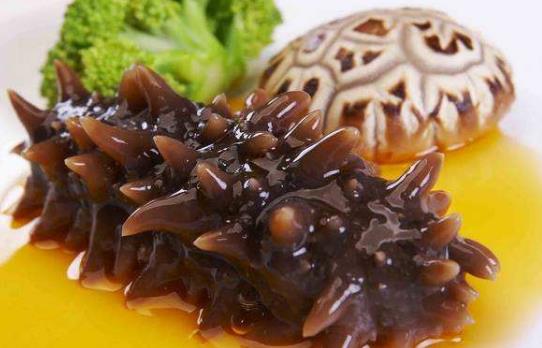 海参怎么吃最有营养？海参食用方法与禁忌(一)