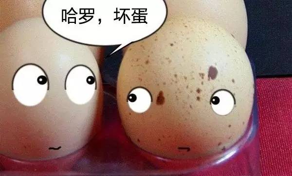 网上流传的煮鸡蛋时间秘籍 吃了没煮熟的溏心蛋对人好不好