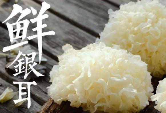新鲜银耳有毒吗？新鲜银耳怎么去毒？银耳中毒怎么办？