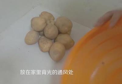 土豆发芽了把芽去掉可以吃吗？土豆长了一点点小芽还能吃吗