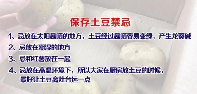 土豆发芽了把芽去掉可以吃吗？土豆长了一点点小芽还能吃吗