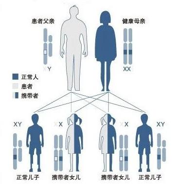 武汉东大肛肠医院：专业致力于肠胃健康