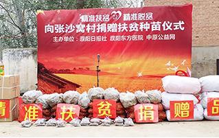 濮阳东方医院行不 领跑健康，推手术免费优惠