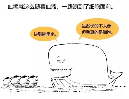 漫画科普-糖尿病治疗新模式