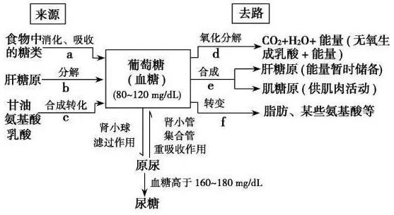 北京伊美尔健翔医院：蛀牙痛怎么办？