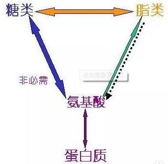 北京伊美尔健翔医院：蛀牙痛怎么办？