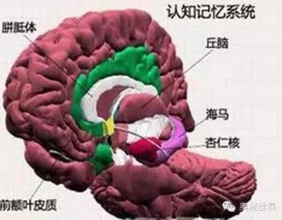 北京伊美尔健翔医院：蛀牙痛怎么办？